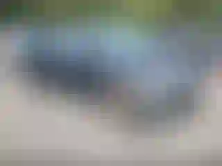 Vehicle Image- 2017 Hyundai Elantra