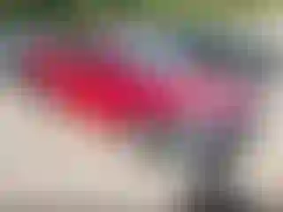 Vehicle Image- 2019 Hyundai Elantra