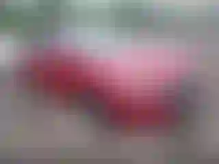 Vehicle Image- 2019 Hyundai Elantra