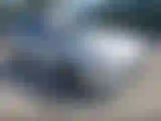 Vehicle Image- 2019 Hyundai Elantra