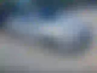 Vehicle Image- 2017 Hyundai Elantra