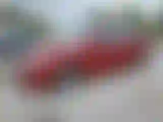 Vehicle Image- 2019 Hyundai Elantra