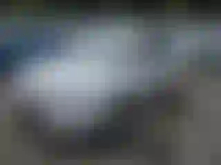 Vehicle Image- 2010 Hyundai Elantra