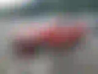 Vehicle Image- 2009 Hyundai Elantra