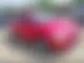 Vehicle Image- 2009 Hyundai Elantra