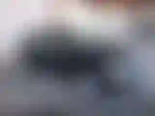 Vehicle Image- 2010 Hyundai Elantra