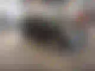 Vehicle Image- 2012 Hyundai Elantra