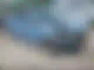 Vehicle Image- 2013 Hyundai Elantra