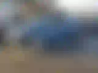 Vehicle Image- 2016 Hyundai Elantra