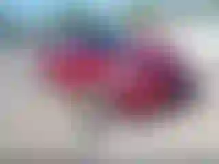 Vehicle Image- 2012 Hyundai Elantra