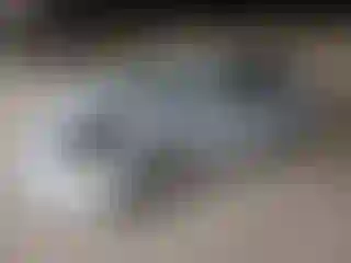 Vehicle Image- 2013 Hyundai Elantra