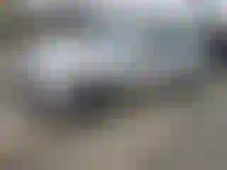 Vehicle Image- 2011 Hyundai Elantra