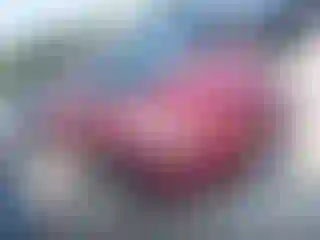 Vehicle Image- 2011 Hyundai Elantra