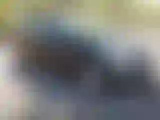 Vehicle Image- 2013 Hyundai Elantra