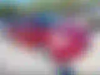 Vehicle Image- 2012 Hyundai Elantra