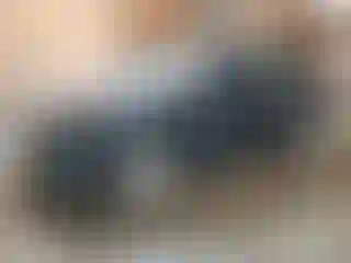 Vehicle Image- 2013 Hyundai Elantra