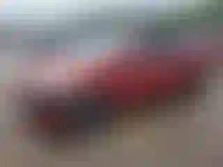 Vehicle Image- 2013 Hyundai Elantra