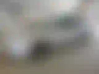 Vehicle Image- 2015 Hyundai Elantra