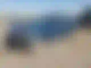 Vehicle Image- 2016 Hyundai Elantra