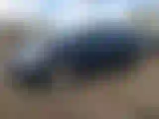 Vehicle Image- 2012 Hyundai Elantra