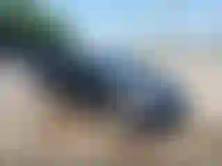 Vehicle Image- 2013 Hyundai Elantra