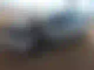 Vehicle Image- 2013 Hyundai Elantra