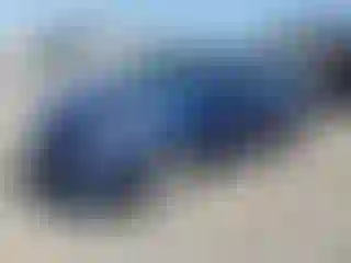 Vehicle Image- 2013 Hyundai Elantra
