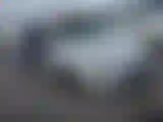 Vehicle Image- 2003 Hyundai Elantra