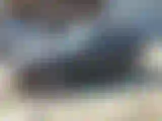 Vehicle Image- 2002 Hyundai Elantra