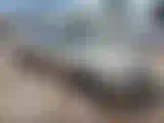 Vehicle Image- 2003 Hyundai Elantra