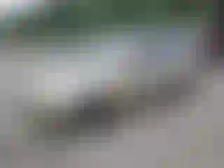 Vehicle Image- 2005 Hyundai Elantra