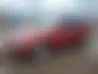 Vehicle Image- 2004 Hyundai Elantra