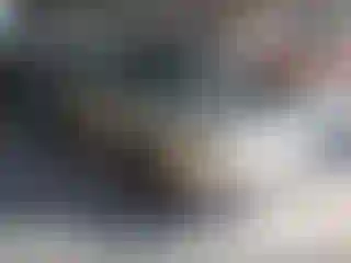 Vehicle Image- 2005 Hyundai Elantra