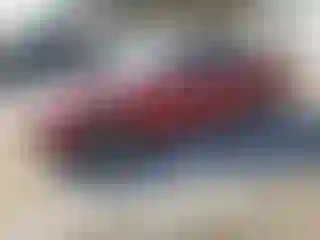 Vehicle Image- 2004 Hyundai Elantra