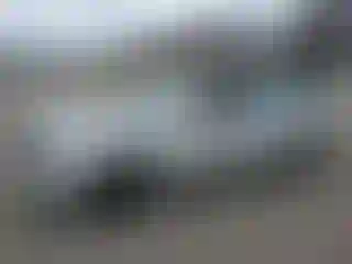 Vehicle Image- 2006 Hyundai Elantra