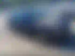 Vehicle Image- 2004 Hyundai Elantra