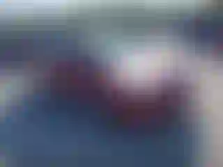 Vehicle Image- 2004 Hyundai Elantra