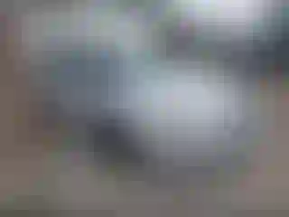 Vehicle Image- 2004 Hyundai Elantra