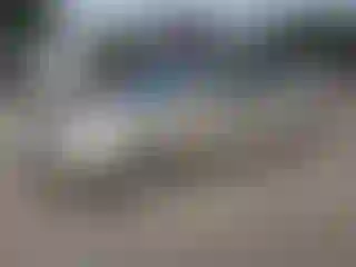 Vehicle Image- 2006 Hyundai Elantra