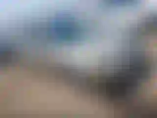 Vehicle Image- 2006 Hyundai Elantra