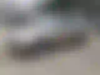 Vehicle Image- 2006 Hyundai Elantra