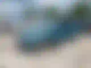 Vehicle Image- 2006 Hyundai Elantra