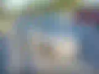 Vehicle Image- 2006 Hyundai Elantra