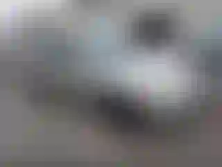Vehicle Image- 2007 Hyundai Elantra