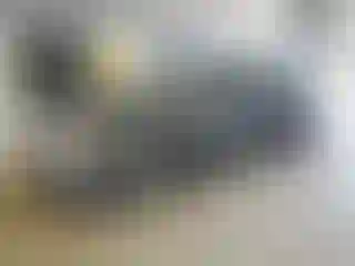 Vehicle Image- 2007 Hyundai Elantra