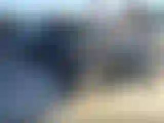 Vehicle Image- 2008 Hyundai Elantra