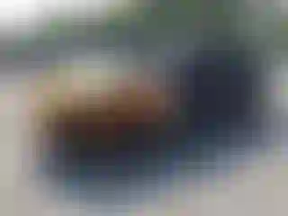 Vehicle Image- 2008 Hyundai Elantra