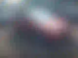 Vehicle Image- 2009 Hyundai Elantra