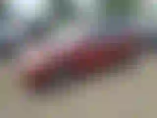 Vehicle Image- 2009 Hyundai Elantra