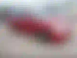 Vehicle Image- 2008 Hyundai Elantra